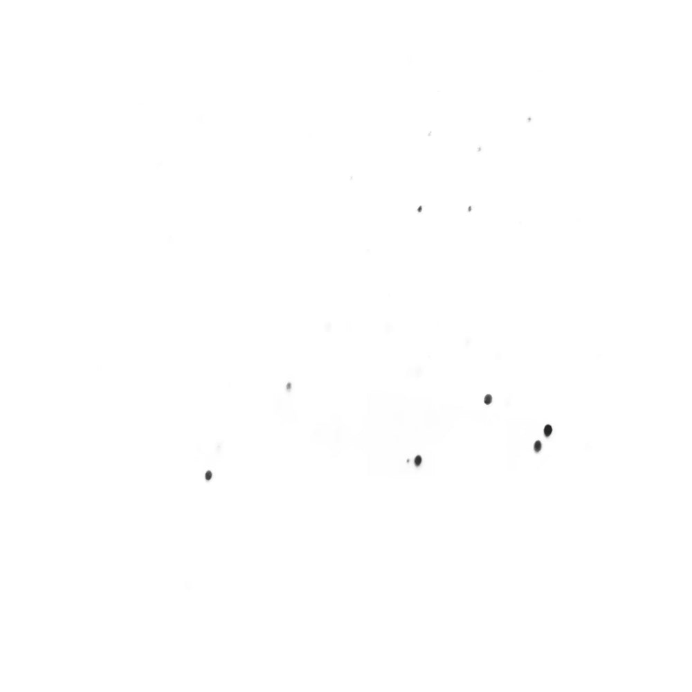 Wooyoungmi Caps - Black | 9c20c10fbdace5b2c3b67aec5e3fca57ca4cccc0