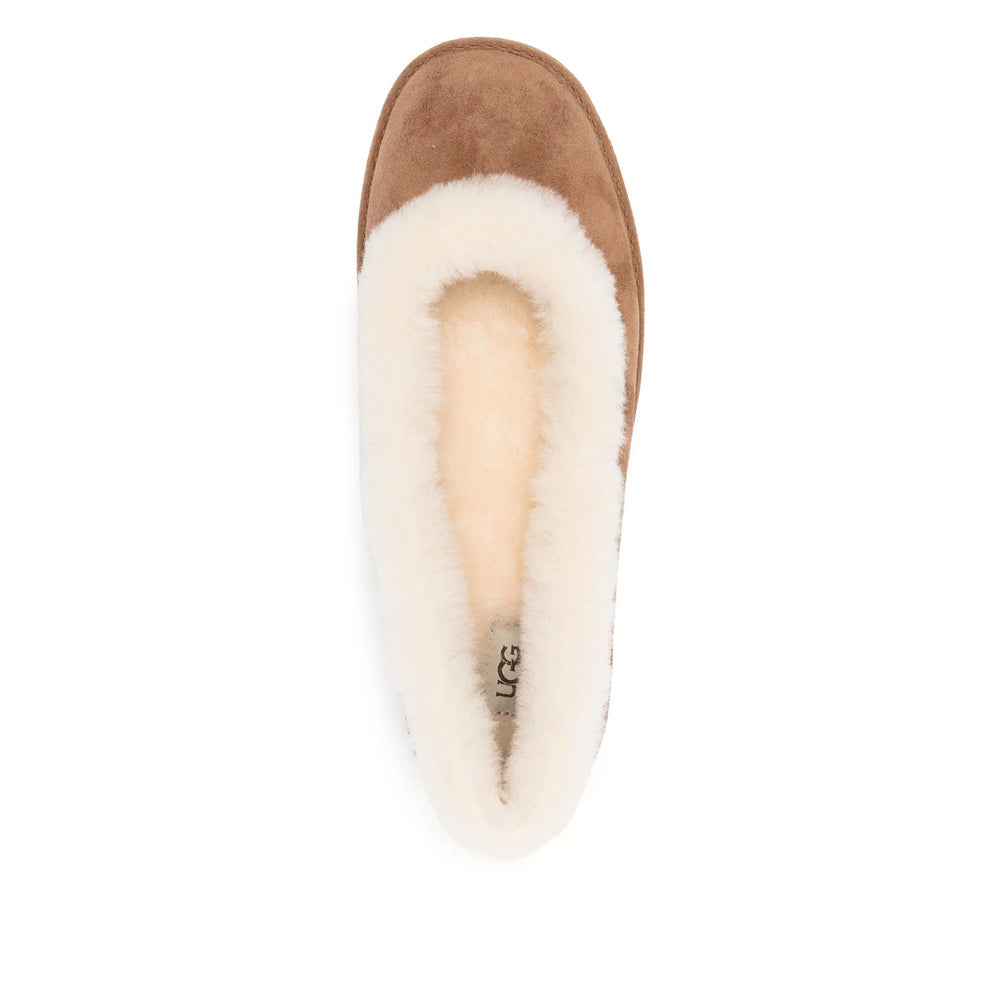 Ugg Shoes - Brown | 7dc8a79ef48744dcea8e24128512d4e714b1af6e