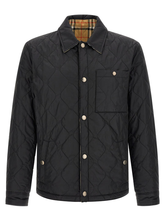 Brighton Puffer Jackets Black