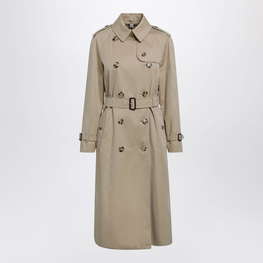 Waterloo Long Cotton Gabardine Trench Coat In Honey