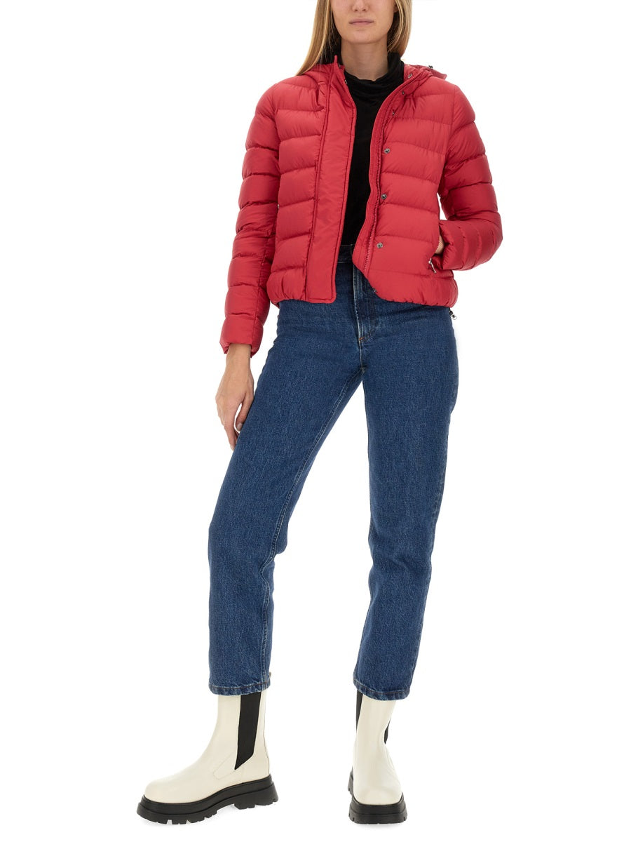 Colmar Jackets - Fuchsia | Wanan Luxury