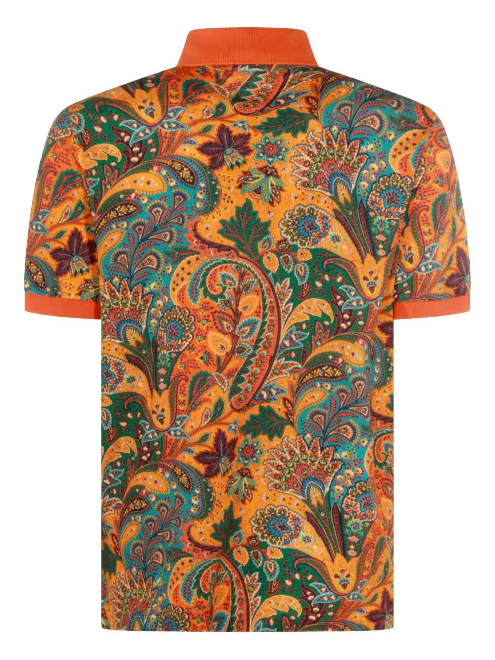 Etro POLO - Multicolour | c87b557351e5d6b55fca0a230bc1418db77da9f3