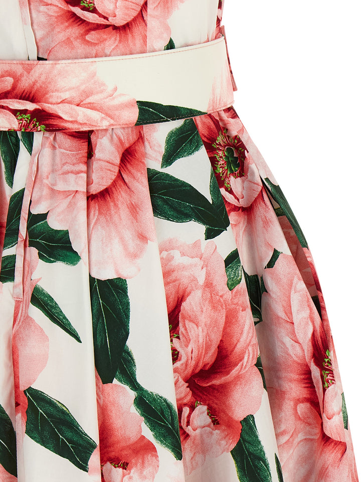 Samantha Sung Abelia Dresses - Pink | 8dd28d29c73812798e5b05d68c4cd1baed617ff5