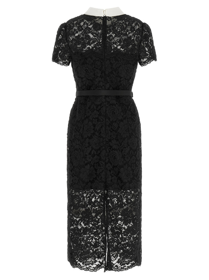 Self Portrait Lace Dress With Collar Dresses - Black | c9f1a7ad95b13f302f7fd6944498337264531205