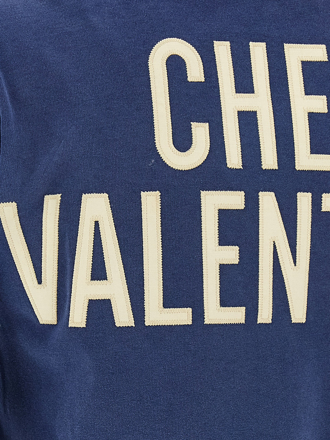 Valentino Garavani Panther Lady T-shirt - Blue | 6d3744922a7494d59b76aa788ca211e28714549a