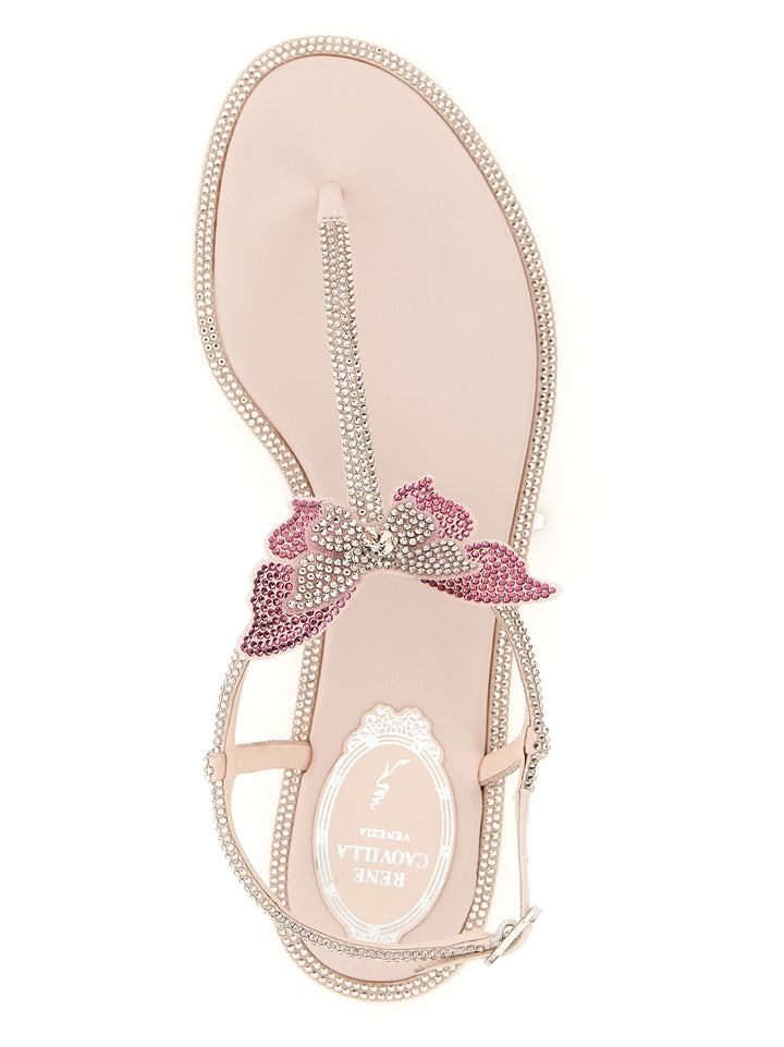 René Caovilla Fairy Sandals - Pink | 67397841bfba13f1caec95c853bf344a7c1bcd58