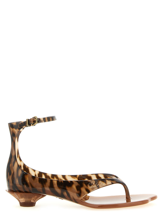 Chloé Jelly Sandals Brown