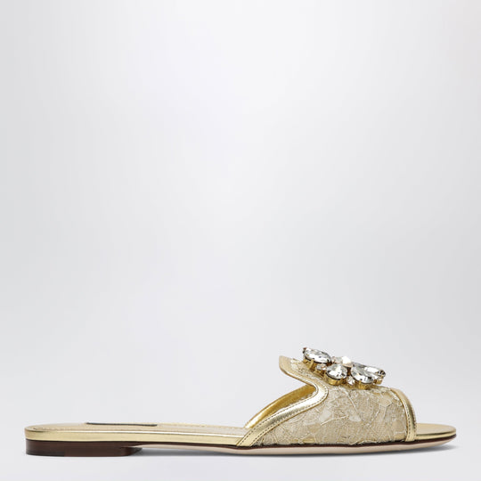Rainbow Slides In Gold Lurex Lace With Brooch