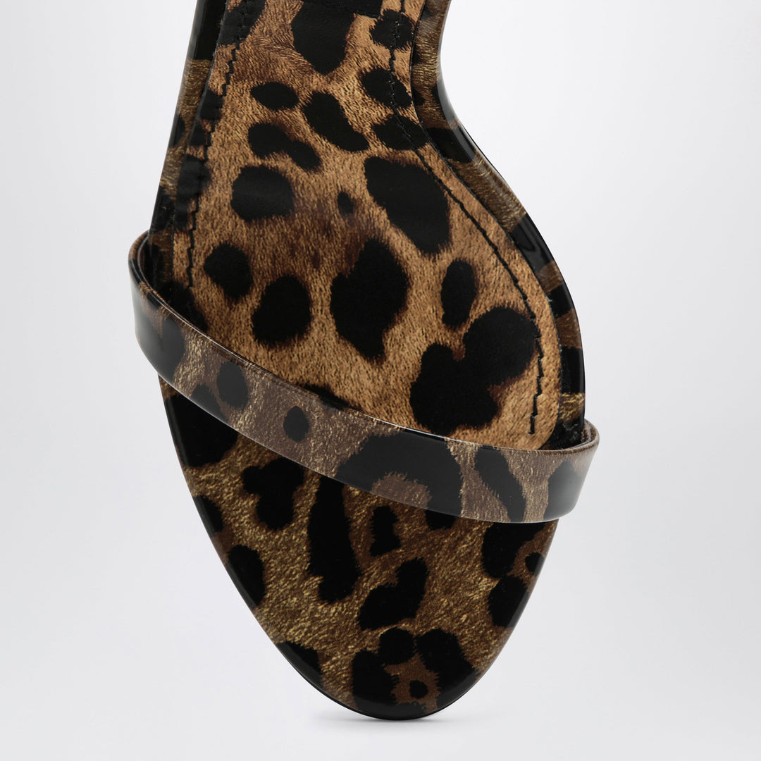 Dolce&Gabbana Shoes - Brown | 0c9036ee9e7f2ecdf89f3c2bc44bcf82333668e0