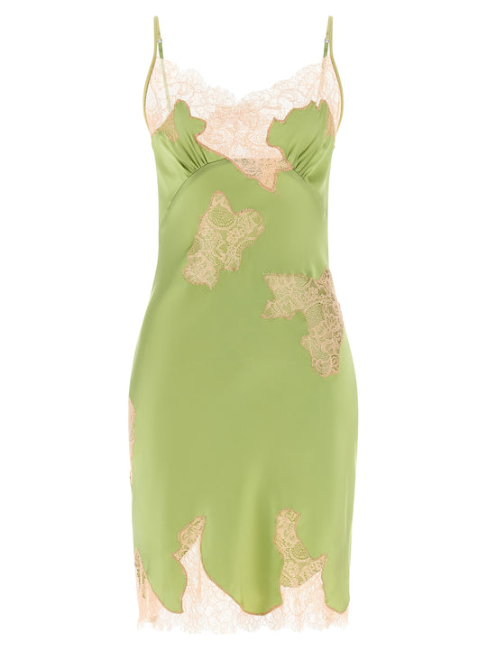 Signature Lace Dresses Green