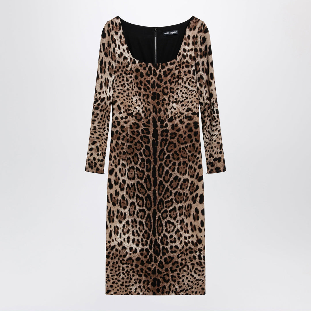 Dolce&Gabbana Apparel & Accessories - Brown | f403429bb55789ff3056b6a175c61b224e2d10e9