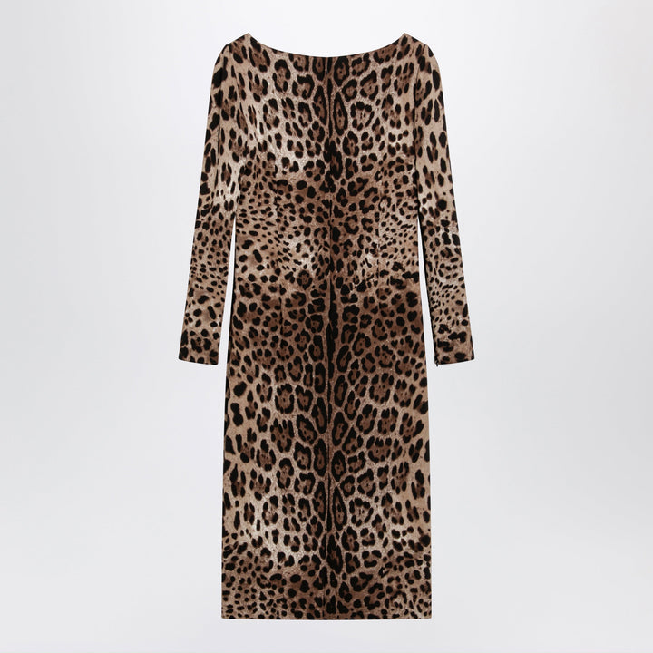 Dolce&Gabbana Apparel & Accessories - Brown | 3b505921e8b7c9cc5cacdaa6b2c1a00974d184a3