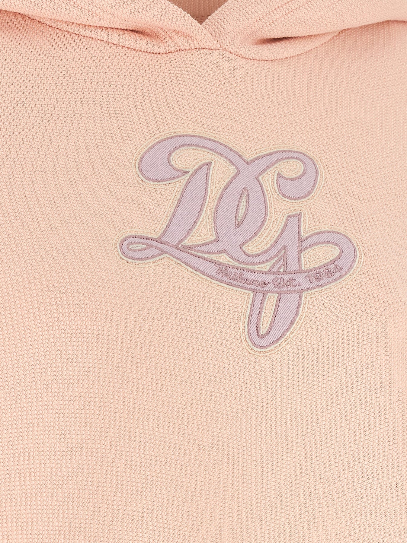 Dolce & Gabbana Logo Embroidery Hoodie Sweatshirt - Pink | 1aef5f55188c2fe93001f5bb5c8a622d3c18b5ba