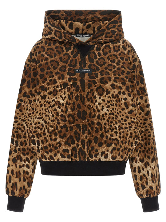 Leo Sweatshirt Brown