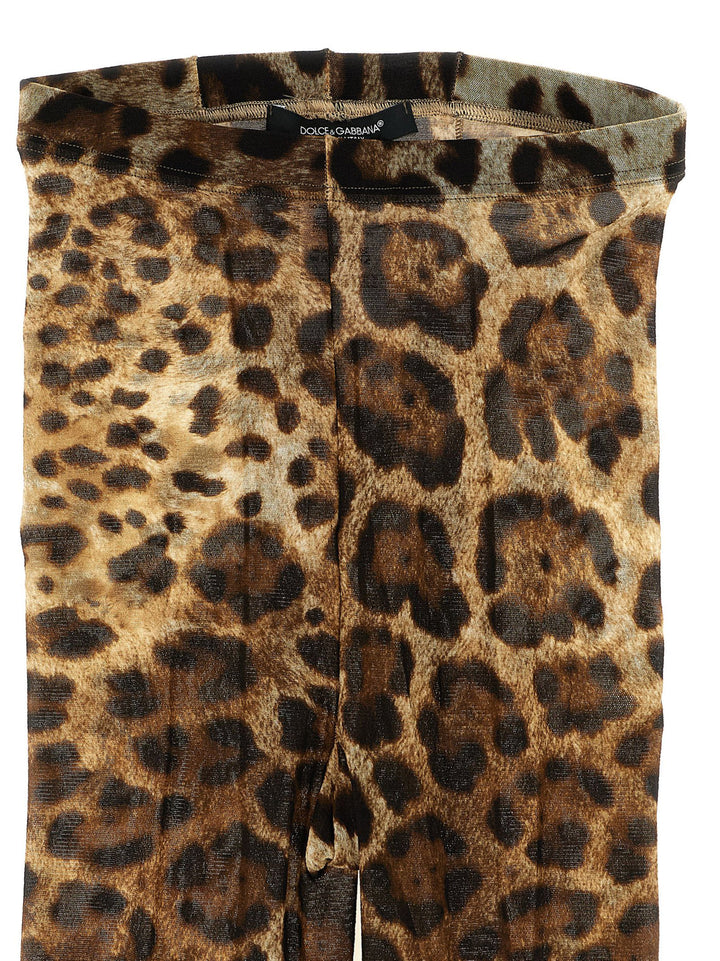 Dolce & Gabbana Animalier Tights Socks - Brown | ae4fa2508f7410070dbdc5ff983f745b53ff82f9