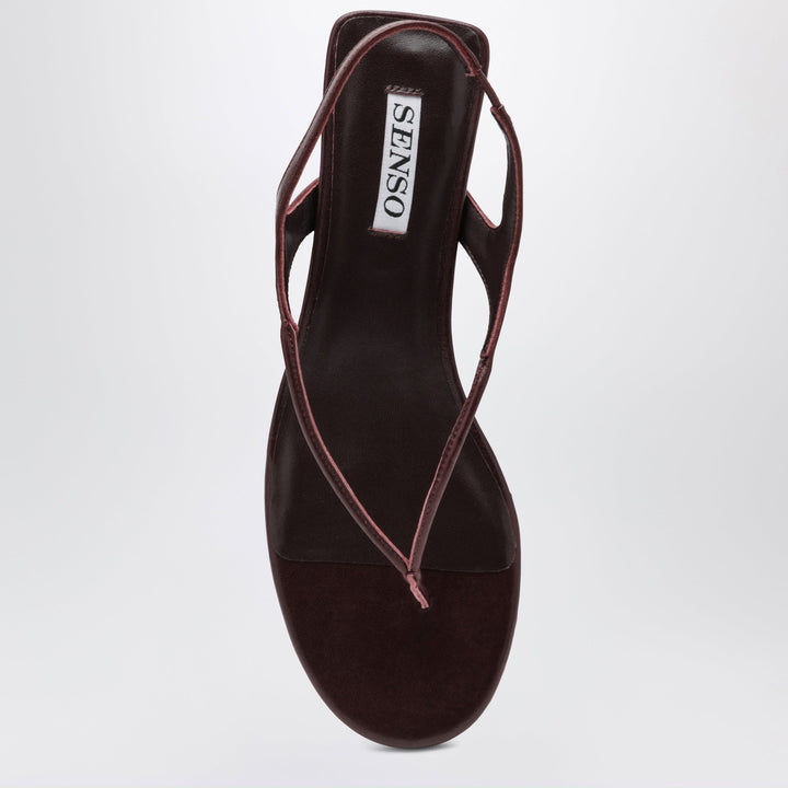 Senso Shoes - Brown | aa2304e78878ec5e0b51f827cf8afc98d3925c06
