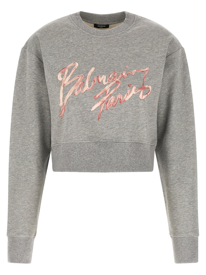 Balmain Balmain Paris Sweatshirt - Gray | 4b33b7137162693b900ee87bbbc45ae0d0cafc67