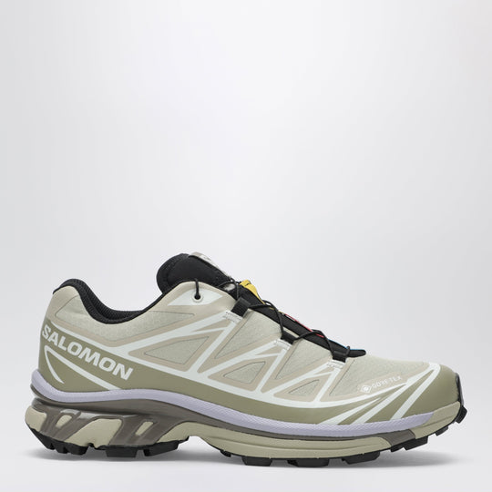 Xt-6 Gore-Tex Shoes Eucalyptus/Silver Sage