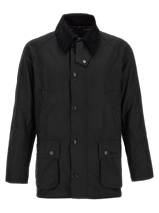 Ashby Puffer Jackets Black