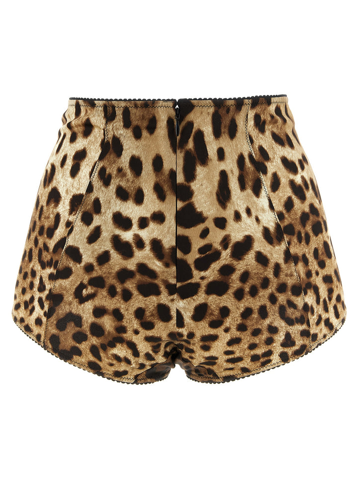 Dolce & Gabbana Leo INTIMO - Brown | 6b725750f7b80ee3f3f08f644bb2cd6ffdba7281