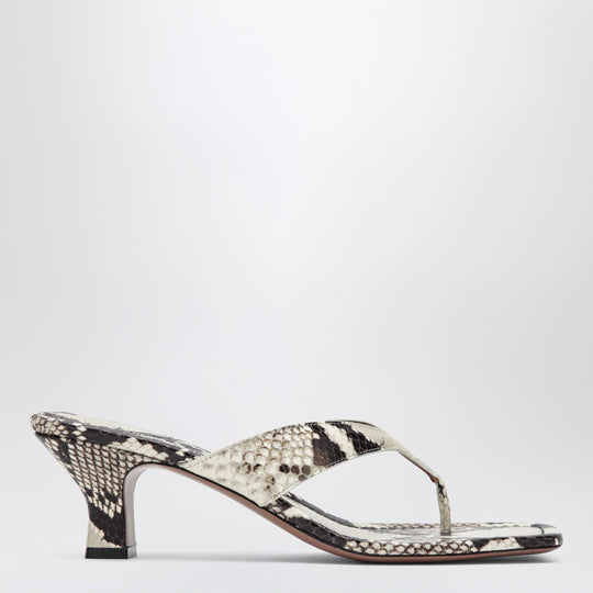 Python-Print Thong Slides