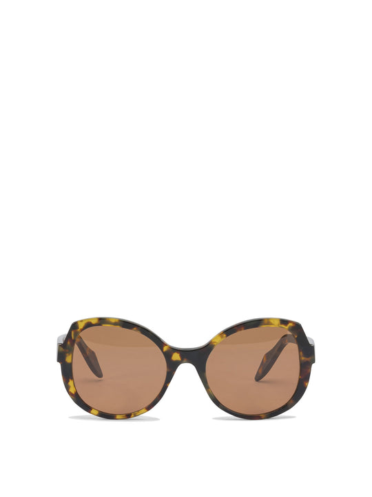 Sunglasses Brown