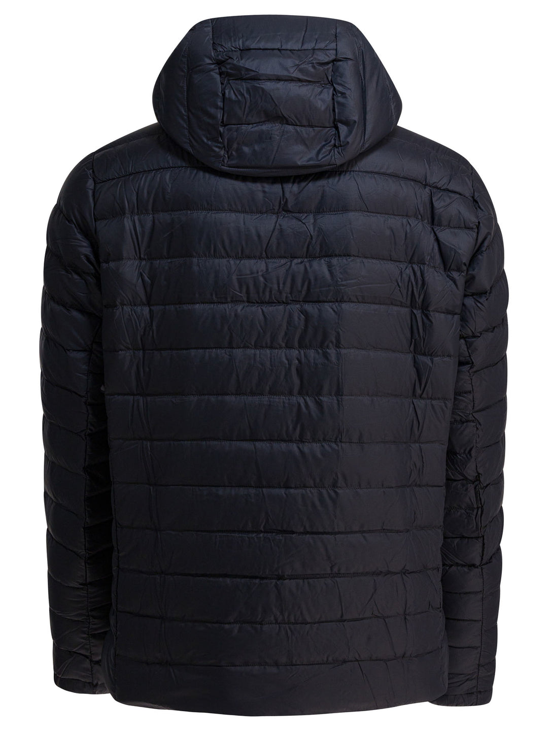 Patagonia Down Sweater Hoody Jackets and Coats - Black | 6c1743e4be934a9ad9ea9fd068818449531e9fc2