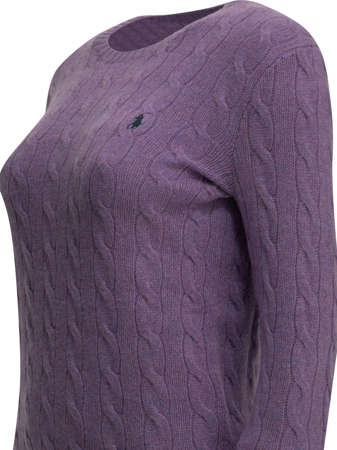 Polo Ralph Lauren Crew-Neck Sweater With Logo Knitwear - Purple | 1258972f529123fde2b537f62525d878f4893863